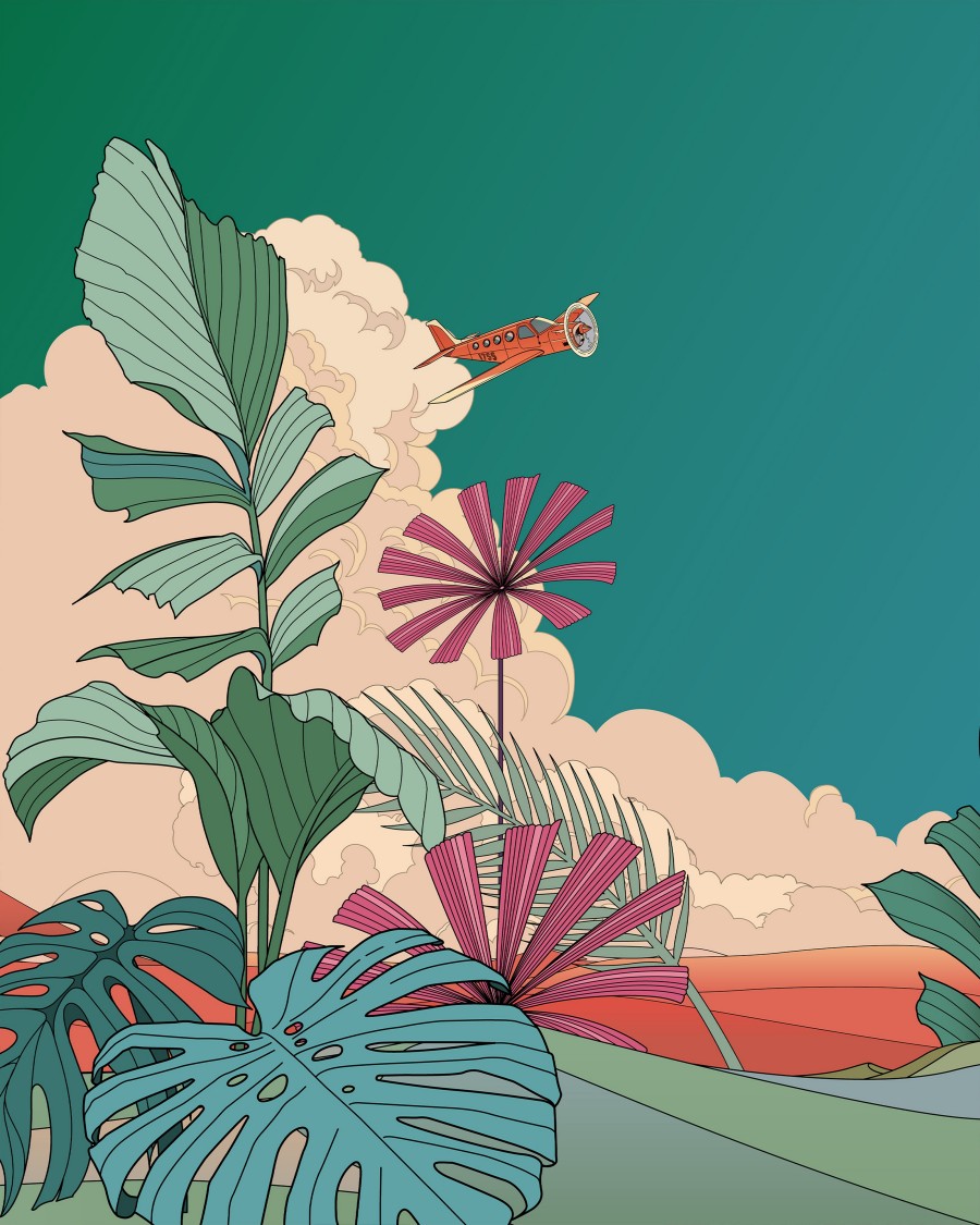 Zoom up on plants with a red airplane in the background