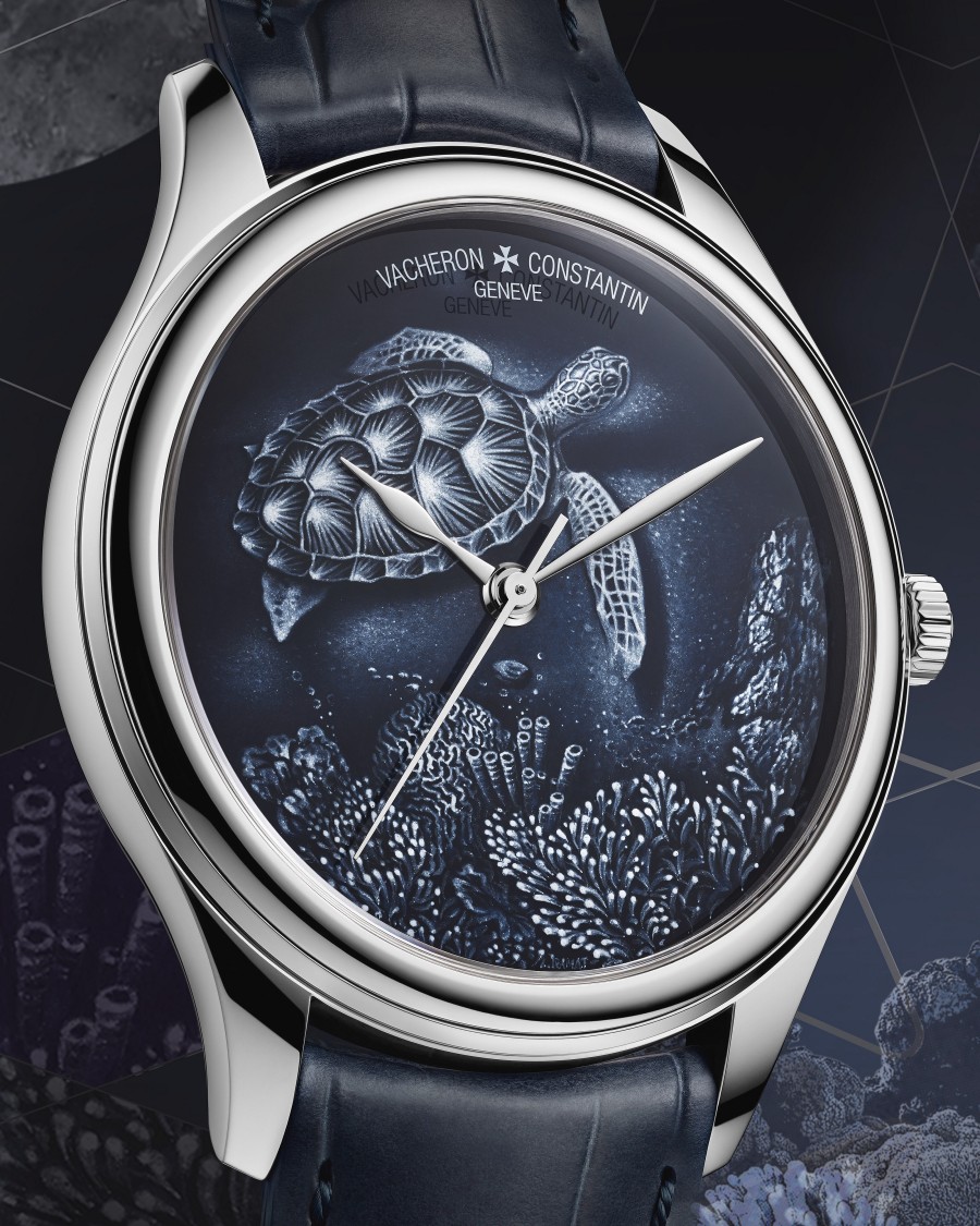 Les Cabinotiers Grisaille - Turtle